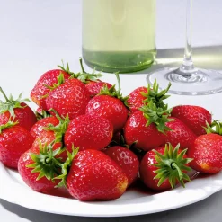 DecoWoerner Frutas><noscript><img width=