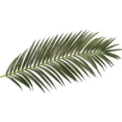 DecoWoerner Decoración De Verano|Hojas>Fronda De Areca Gigante Decorativa, Longitud 180 Cm