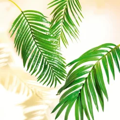 DecoWoerner Decoración De Verano|Hojas><noscript><img width=