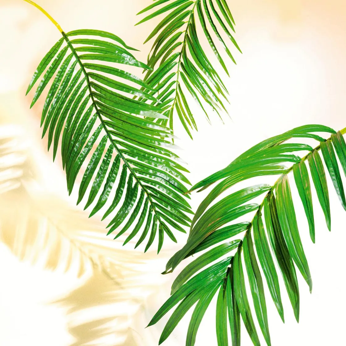 DecoWoerner Decoración De Verano|Hojas>Fronda De Areca Gigante Decorativa, Longitud 180 Cm