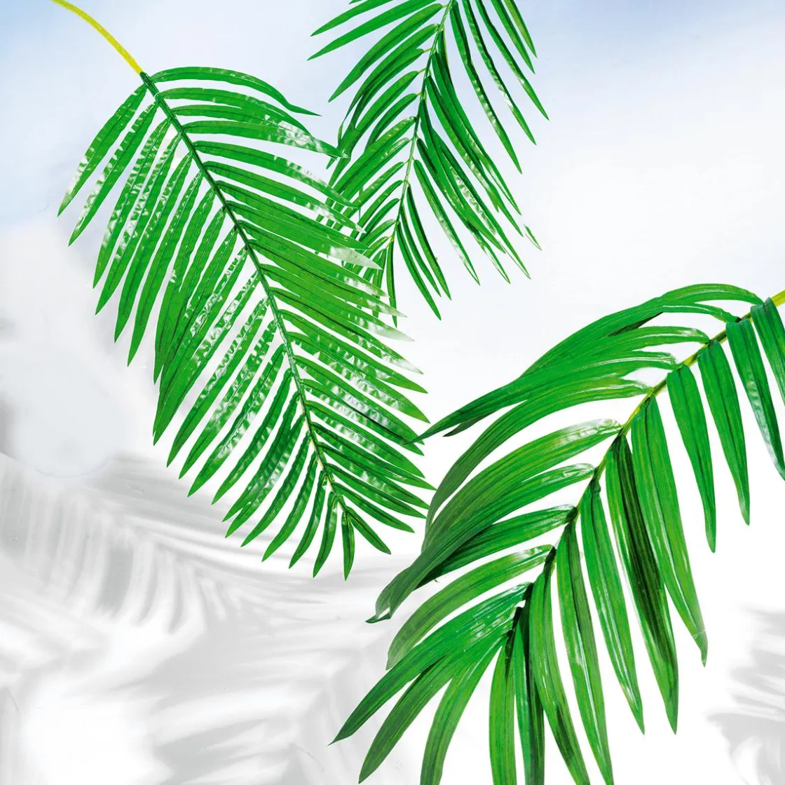 DecoWoerner Decoración De Verano|Hojas>Fronda De Areca Gigante Decorativa, Longitud 180 Cm