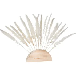 DecoWoerner Decoración Natural|Decoración De Otoño>Fronda De Hierba De La Pampa Blanca Al Palo 45 Cm