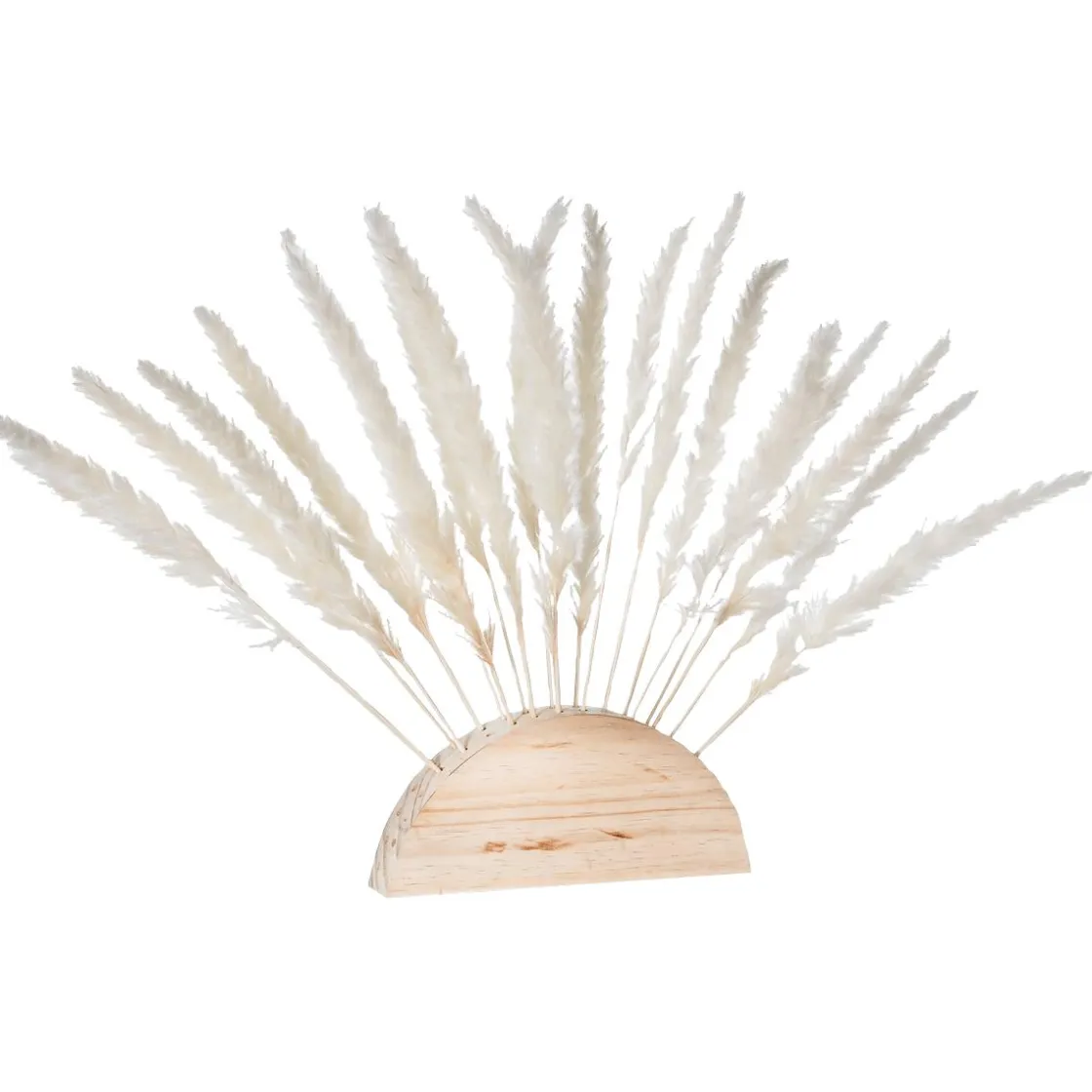 DecoWoerner Decoración Natural|Decoración De Otoño>Fronda De Hierba De La Pampa Blanca Al Palo 45 Cm