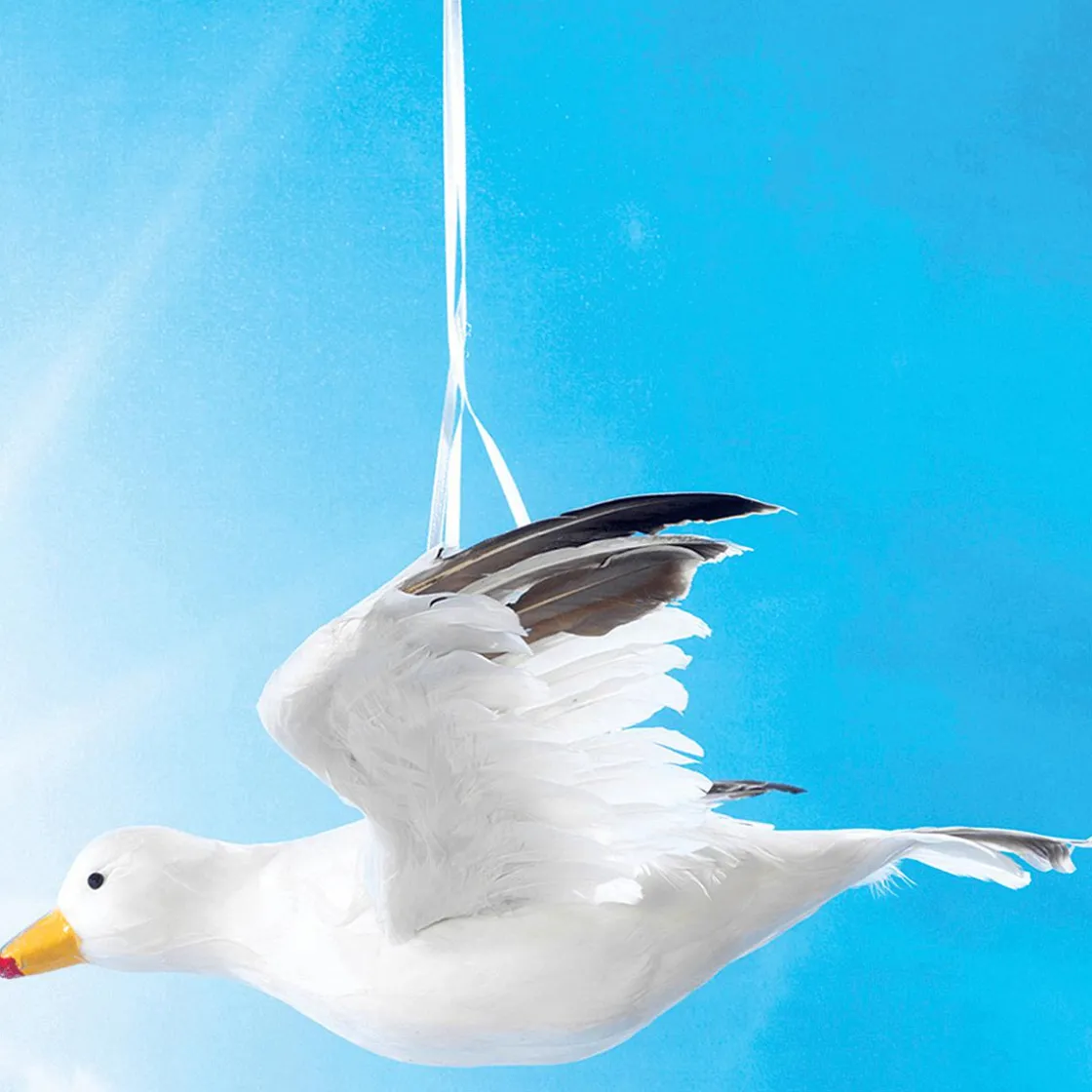 DecoWoerner Decoración De Animales|Decoración De Verano>Gaviota Decorativa Volando, Anchura 43 Cm