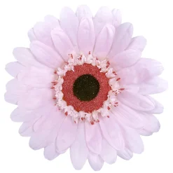 DecoWoerner Decoración De Primavera|Cabezas De Flores Artificiales>Gerbera Gigante, 45 Cm Ø,