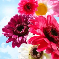 DecoWoerner Decoración De Primavera|Cabezas De Flores Artificiales><noscript><img width=