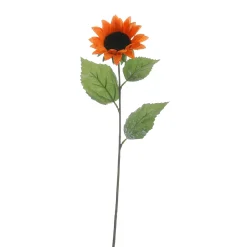 DecoWoerner Decoración De Otoño|Decoración De Verano><noscript><img width=