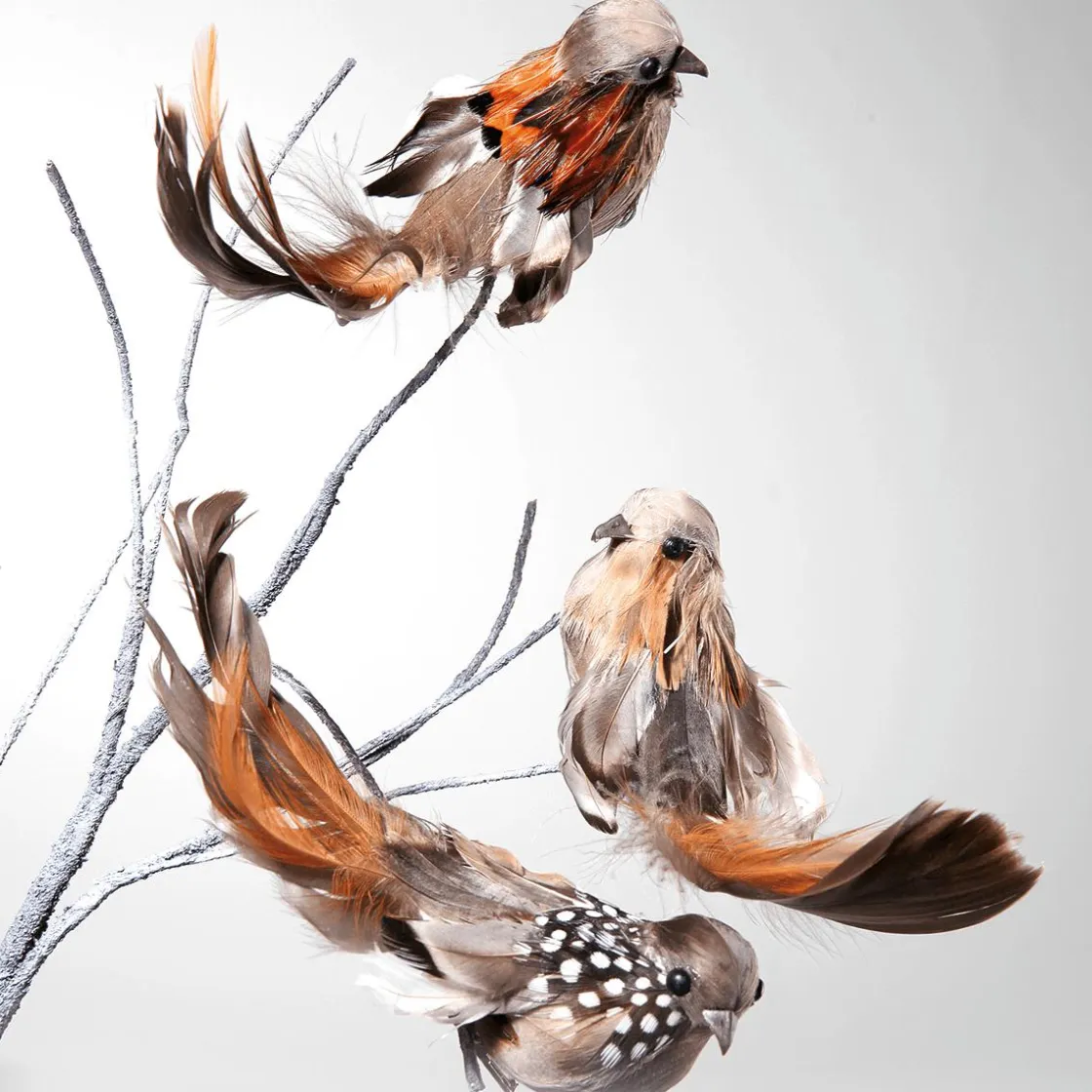 DecoWoerner Decoración De Animales|Decoración De Primavera>Gorriones Decorativos, 17 Cm, 6 Piezas
