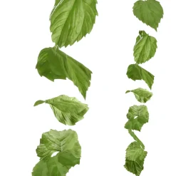 DecoWoerner Decoración De Primavera|Decoración De Otoño>Guirnalda Artificial De Hojas De Abedul 160 Cm