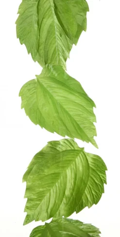 DecoWoerner Decoración De Primavera|Decoración De Otoño>Guirnalda Artificial De Hojas De Abedul 160 Cm