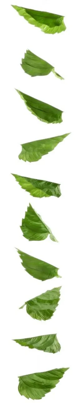 DecoWoerner Decoración De Primavera|Decoración De Otoño><noscript><img width=