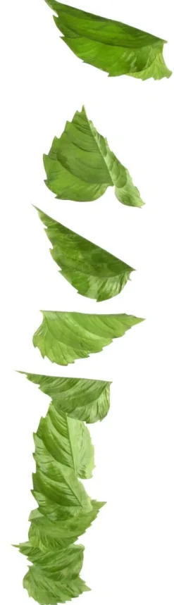 DecoWoerner Decoración De Primavera|Decoración De Otoño><noscript><img width=