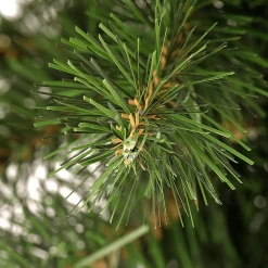 DecoWoerner Guirnaldas De Navidad><noscript><img width=