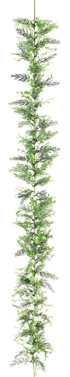 DecoWoerner Guirnaldas Y Vides>Guirnalda De Ciprés Y Boje, Longitud: 170 Cm