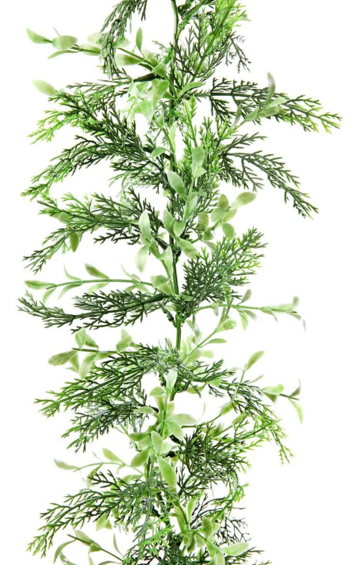 DecoWoerner Guirnaldas Y Vides>Guirnalda De Ciprés Y Boje, Longitud: 170 Cm