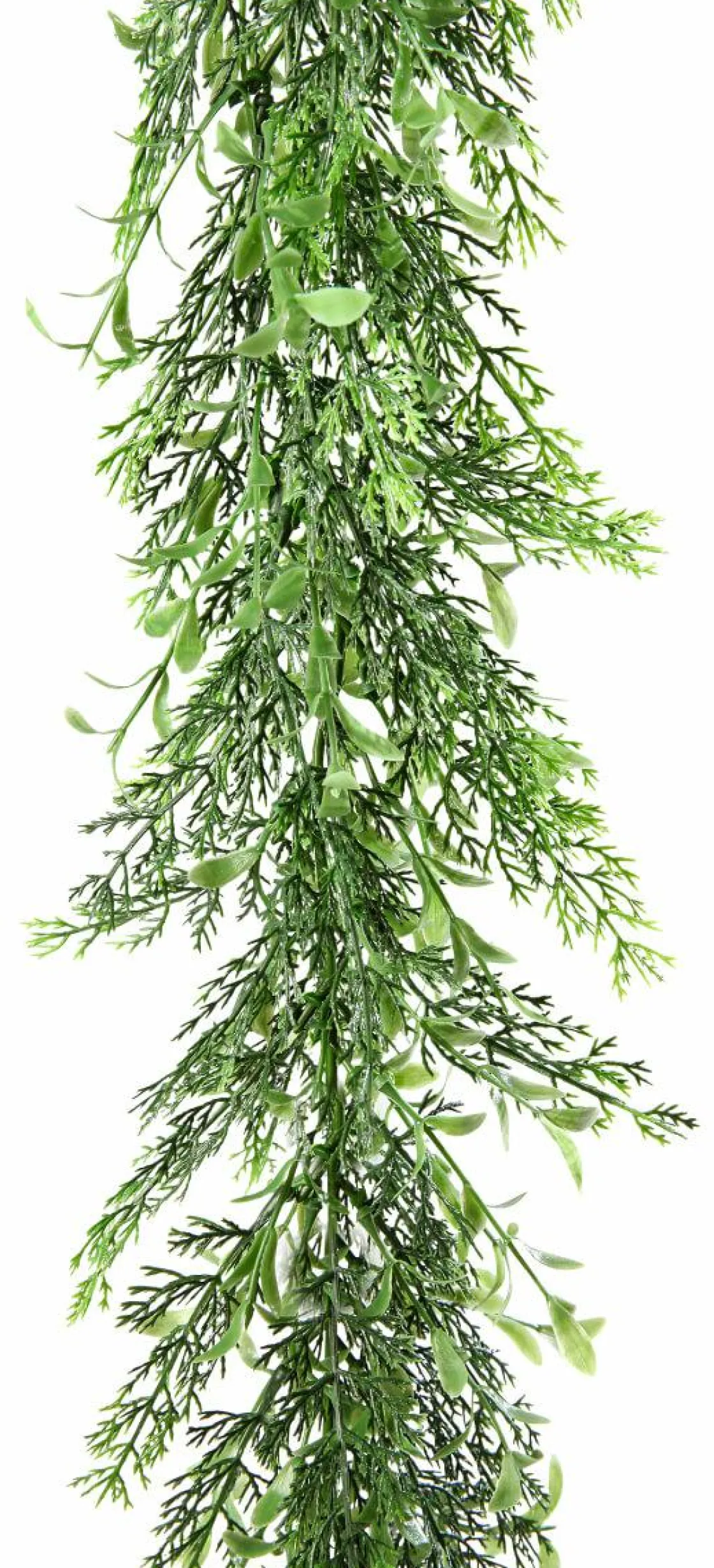DecoWoerner Guirnaldas Y Vides>Guirnalda De Ciprés Y Boje, Longitud: 170 Cm
