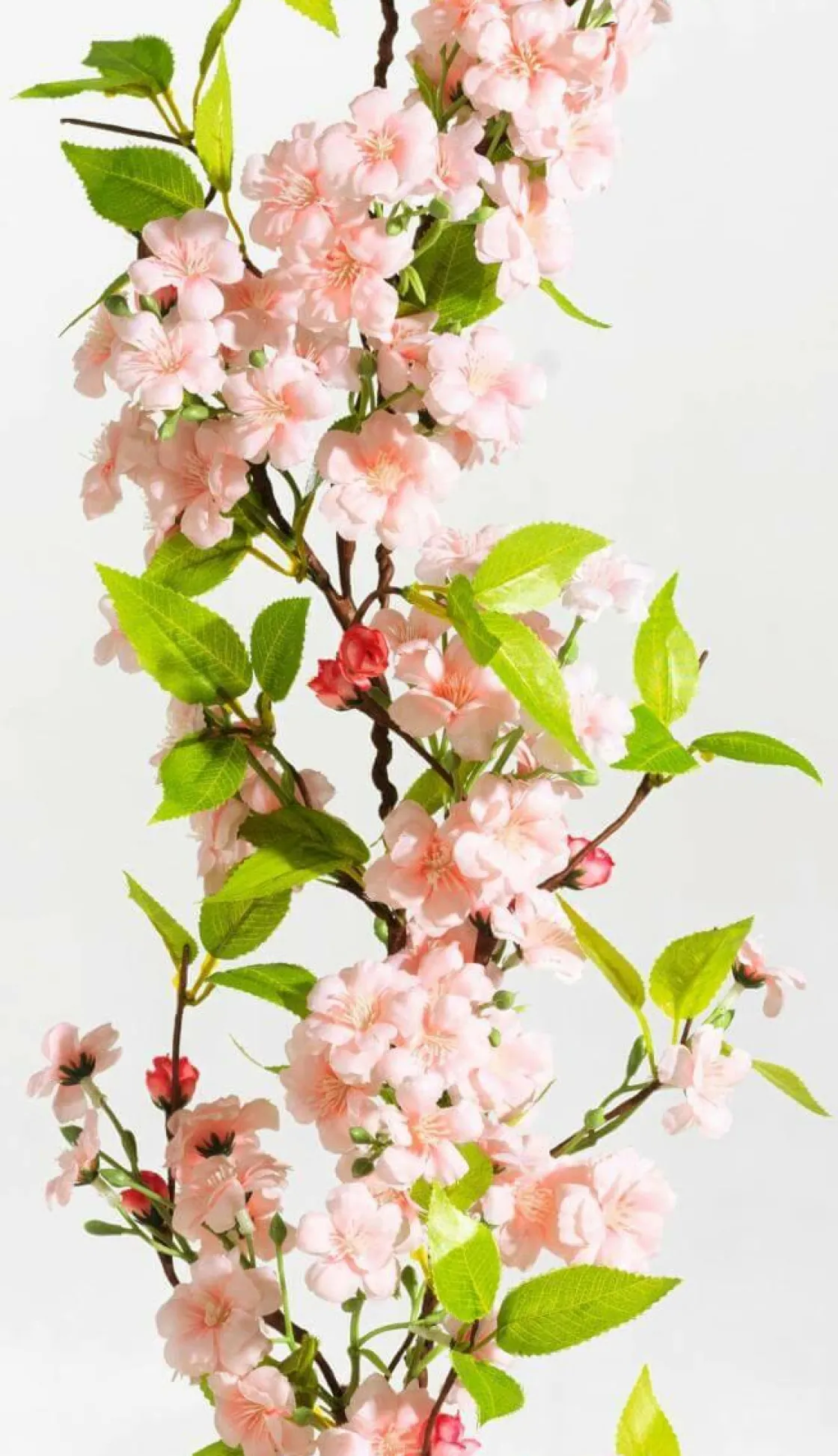 DecoWoerner Decoración De Primavera|Guirnaldas Y Vides>Guirnalda De Flores De Cerezo Artificial , 110 Cm