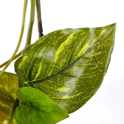 DecoWoerner Guirnaldas Y Vides>Guirnalda De Hiedra Artificial Pothos 170 Cm Amarillo