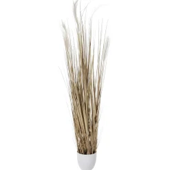 DecoWoerner Hierba Decorativa>Haz De Hierba Seca De 150 Cm De Altura, En Maceta Blanca Ø 20 Cm