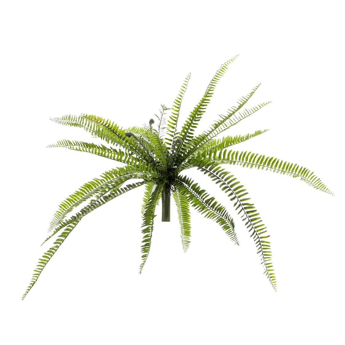 DecoWoerner Plantas Verdes|Plantas De Interior>Helecho XXL - Planta Artificial Con Palo De Inserción 100 Cm Ø