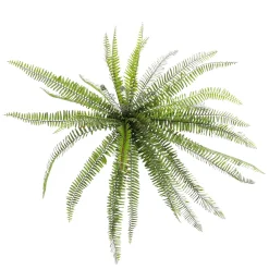 DecoWoerner Plantas Verdes|Plantas De Interior><noscript><img width=