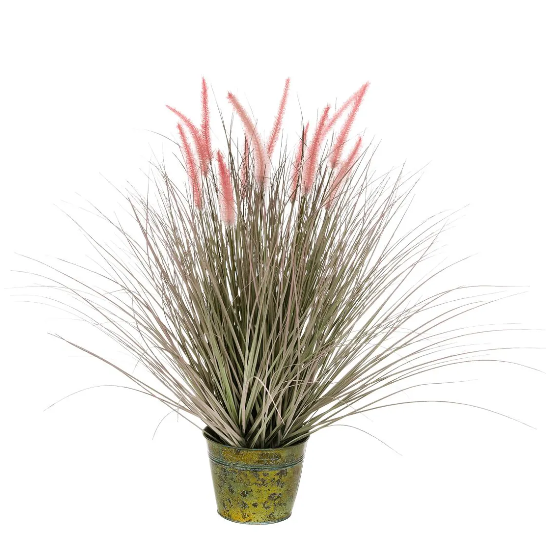 DecoWoerner Hierba Decorativa>Hierba Cola De Zorro En Una Maceta De Zinc De 70 Cm De Altura