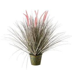 DecoWoerner Hierba Decorativa>Hierba Cola De Zorro En Una Maceta De Zinc De 70 Cm De Altura