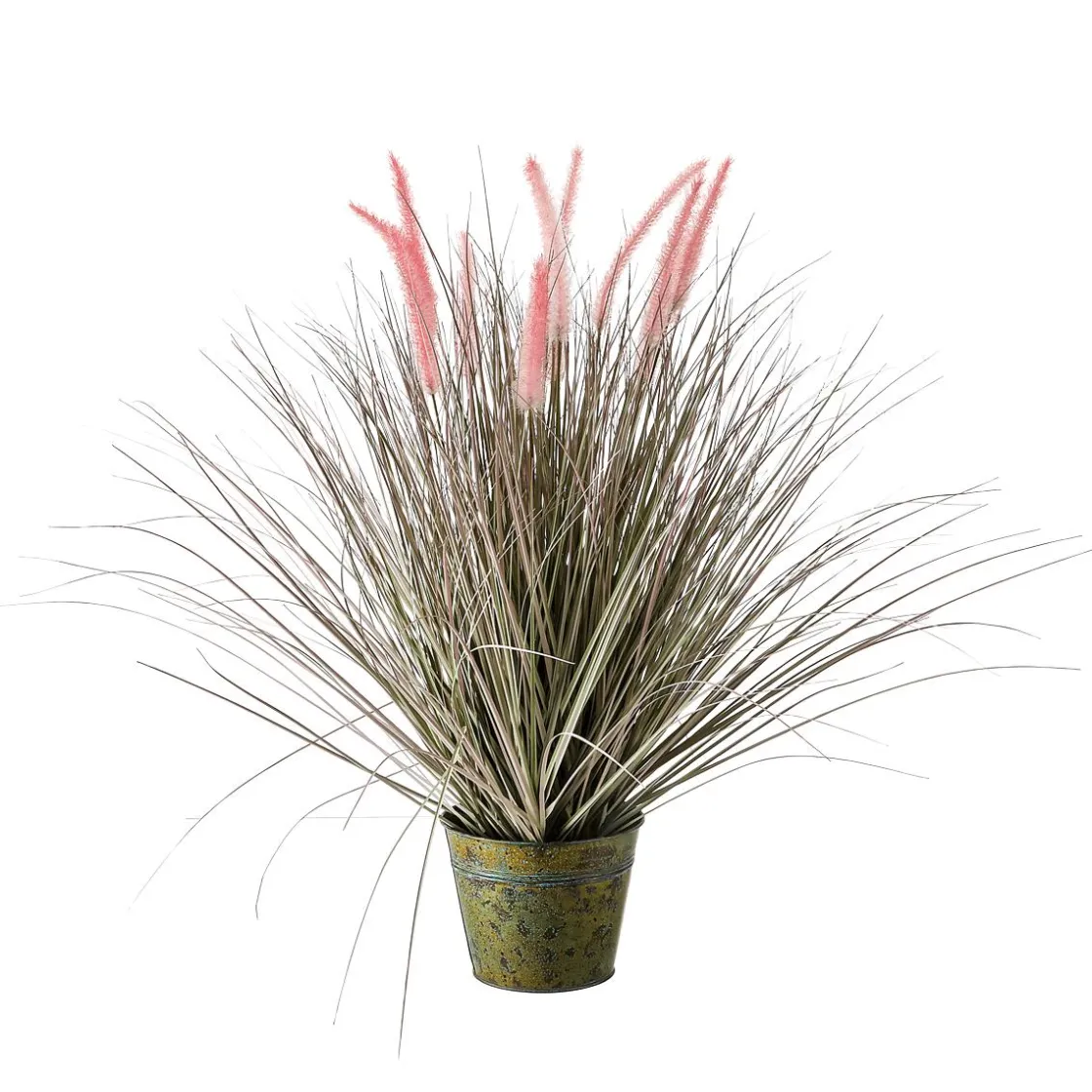 DecoWoerner Hierba Decorativa>Hierba Cola De Zorro En Una Maceta De Zinc De 70 Cm De Altura