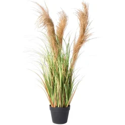 DecoWoerner Hierba Decorativa><noscript><img width=