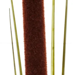 DecoWoerner Decoración De Otoño|Decoración De Verano>Hierba De Caña Deco 120 Cm Pack De 3