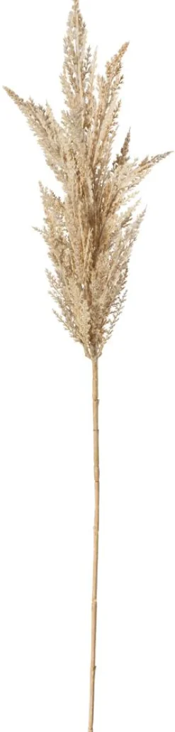 DecoWoerner Ramas Y Ramitas>Hierba De La Pampa De Caña Decorativa, 94 Cm