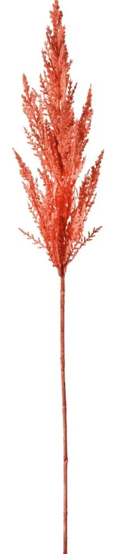 DecoWoerner Ramas Y Ramitas>Hierba De La Pampa De Caña Decorativa, 94 Cm