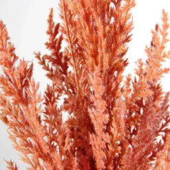 DecoWoerner Ramas Y Ramitas>Hierba De La Pampa De Caña Decorativa, 94 Cm