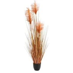 DecoWoerner Decoración De Otoño|Decoración De Verano>Hierba De La Pampa Decorativa De Color En Maceta Negra 117 Cm