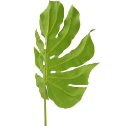 DecoWoerner Decoración De Verano|Ramas Y Ramitas><noscript><img width=
