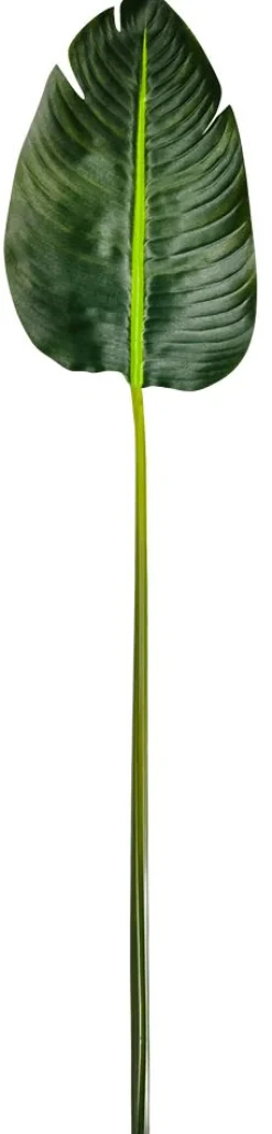 DecoWoerner Decoración De Verano|Hojas>Hoja De Banana Artificial, 75 Cm De Largo