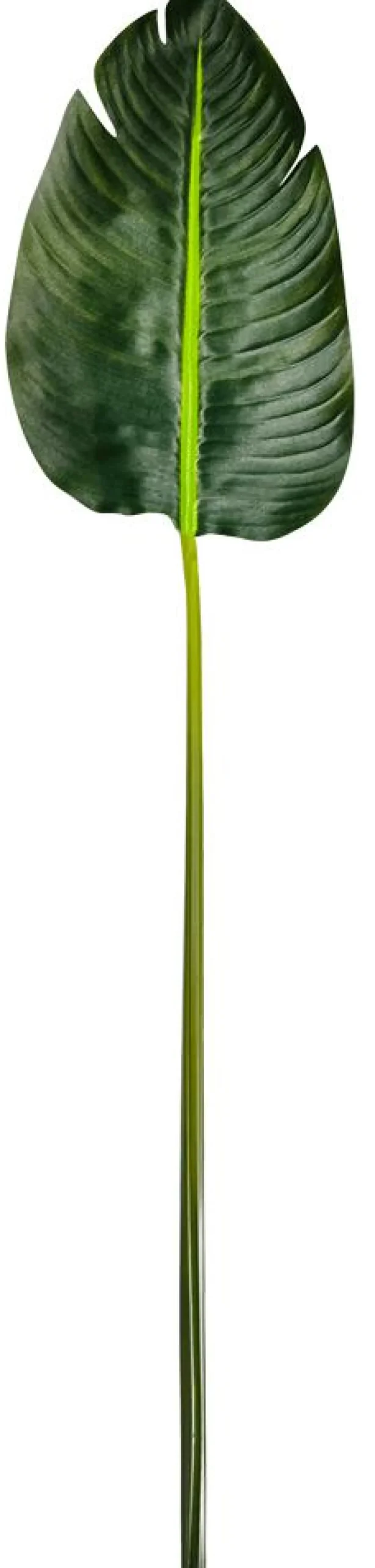 DecoWoerner Decoración De Verano|Hojas>Hoja De Banana Artificial, 75 Cm De Largo