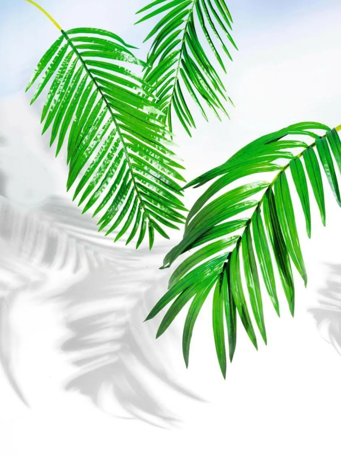 DecoWoerner Decoración De Verano|Hojas>Hoja De Palmera Areca Decorativa, Longitud 98 Cm