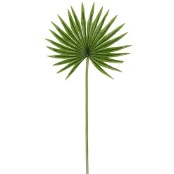 DecoWoerner Decoración De Verano|Hojas>Hoja De Palmera En Abanico Decorativa, Longitud 66 Cm, 2 Piezas