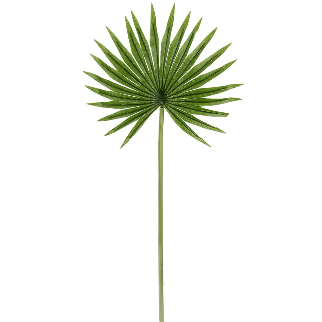 DecoWoerner Decoración De Verano|Hojas>Hoja De Palmera En Abanico Decorativa, Longitud 66 Cm, 2 Piezas