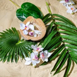 DecoWoerner Decoración De Verano|Hojas>Hoja De Palmera En Abanico Decorativa, Longitud 66 Cm, 2 Piezas