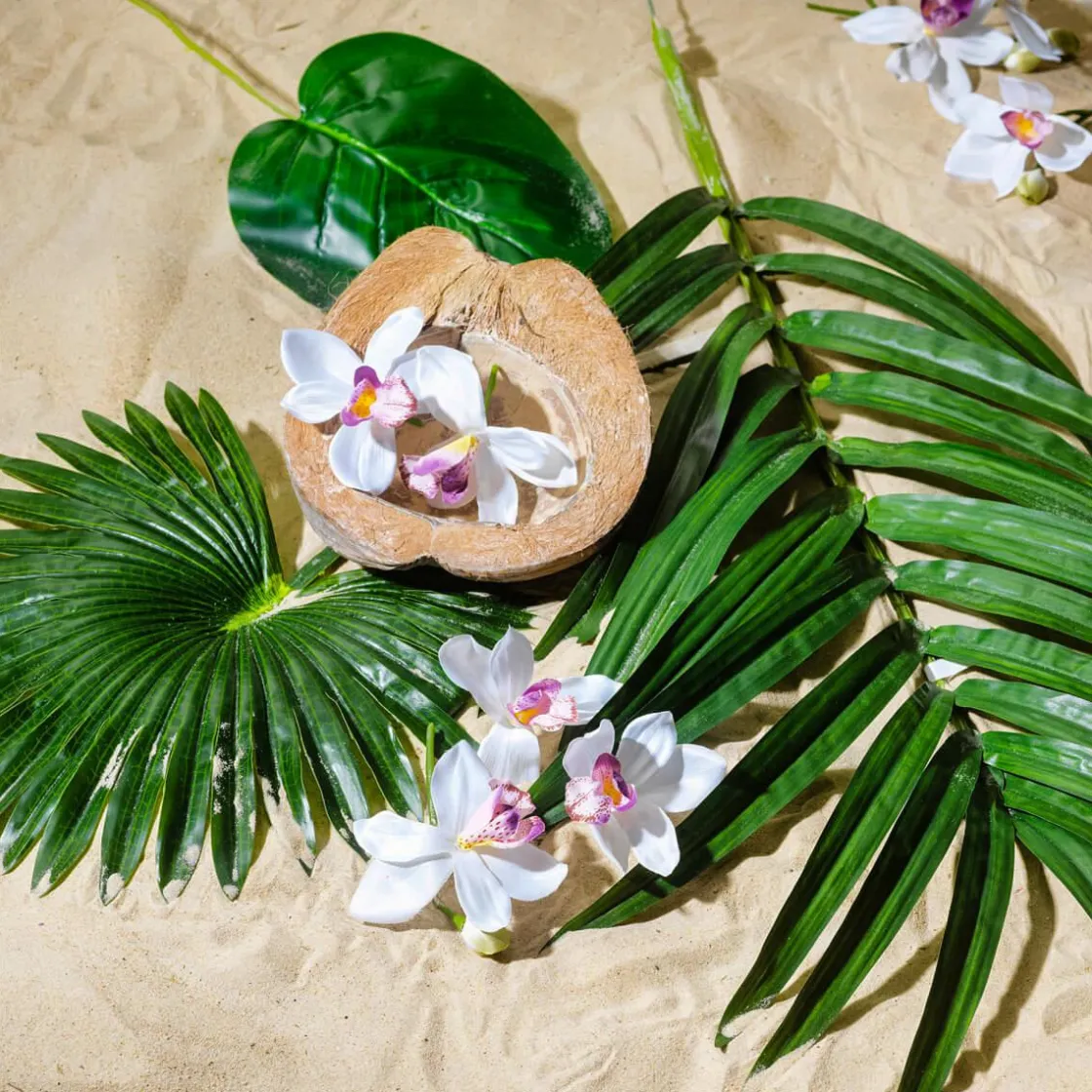 DecoWoerner Decoración De Verano|Hojas>Hoja De Palmera En Abanico Decorativa, Longitud 66 Cm, 2 Piezas