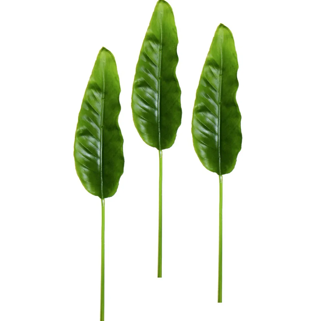 DecoWoerner Decoración De Verano|Ramas Y Ramitas>Hojas Artificiales De Strelizia 88 Cm, 3 Piezas