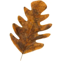 DecoWoerner Decoración De Otoño|Hojas><noscript><img width=