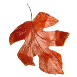 DecoWoerner Decoración De Otoño|Hojas><noscript><img width=