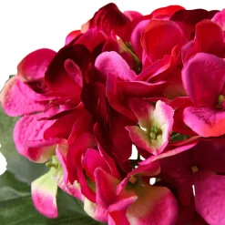 DecoWoerner Decoración De Primavera|Flores Artificiales>Hortensia Artificial Fucsia, 52 Cm