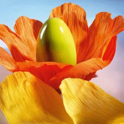 DecoWoerner Decoración De Pascua>Huevo De Pascua Enorme , 50 Cm