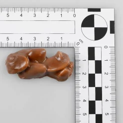 DecoWoerner Chocolate Y Helados><noscript><img width=