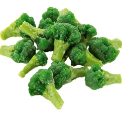 DecoWoerner Platos Y Comida Rápida|Verduras Y Hierbas>Imitación De Brócoli Escaldado, 100 G