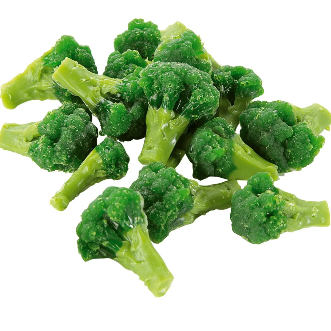 DecoWoerner Platos Y Comida Rápida|Verduras Y Hierbas>Imitación De Brócoli Escaldado, 100 G